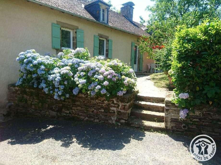 photo 0