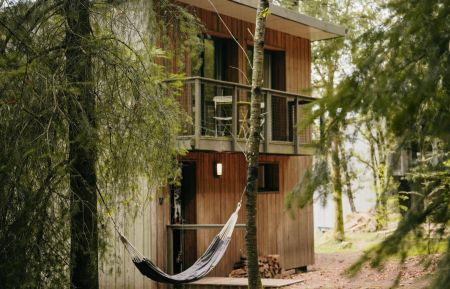 Lodge19G2245 Palazinges - Corr&egrave;ze - ARMAND - Foret