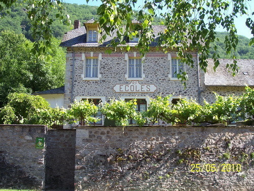 photo 0