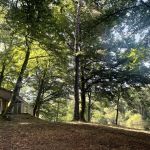 Chalet/Bungalow - Soleil - ESPAGNAC - Corr&egrave;ze
