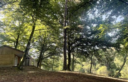 Chalet/Bungalow19G5487 Espagnac - Corr&egrave;ze - photo