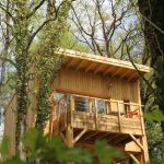 La Cabane d'EmmAxel
Vue de la forêt La Cabane d'EmmAxel
Vue de la forêt