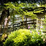 Chalet/Bungalow - Betelgeuse - REYGADE - Corr&egrave;ze
