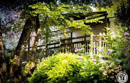 Chalet/Bungalow19G5250 Reygade - Corr&egrave;ze - photo