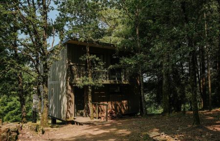 Lodge19G2246 Palazinges - Corr&egrave;ze - JEANNE - Vue foret
