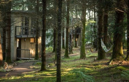 Lodge19G2247 Palazinges - Corr&egrave;ze - HENRY - Vue Foret