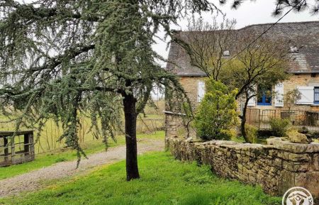 G&icirc;te n&deg;19G2050 Chasteaux - Corr&egrave;ze - Ext&eacute;rieur du g&icirc;te avec chemin priv&eacute; 