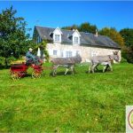 gite - Le G&icirc;te des &Acirc;nes- Ludog&icirc;te - CONDAT SUR GANAVEIX - Corr&egrave;ze