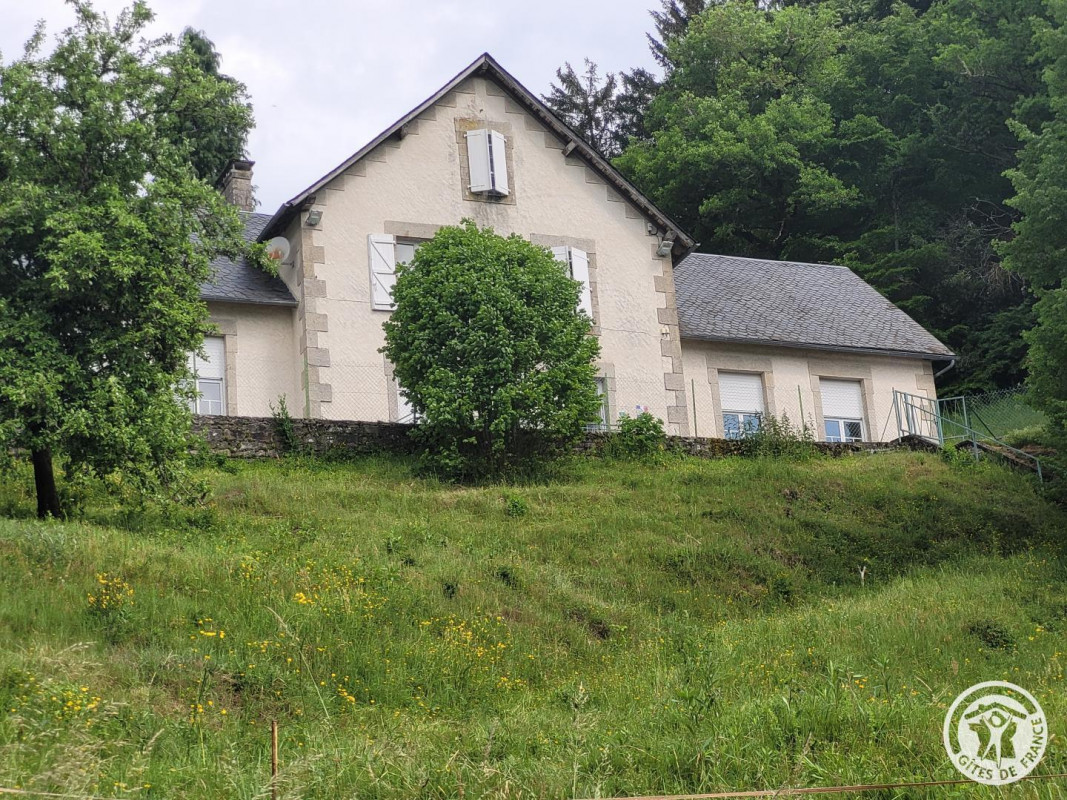 photo 0