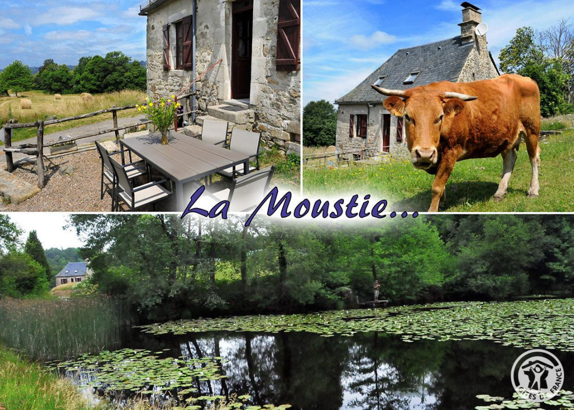 photo 0
