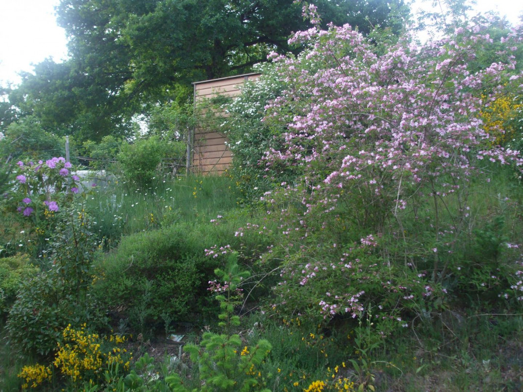 photo 34