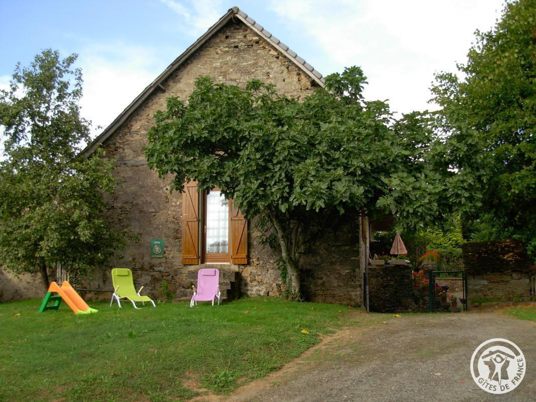 photo 0