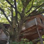 Cabane dans les arbres - La Peyrade &agrave; La ferme des histoires m&eacute;lang&eacute;es - SEXCLES - Corr&egrave;ze