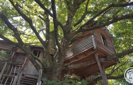 Cabane dans les arbres19G5749 Sexcles - Corr&egrave;ze - photo