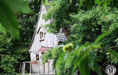 Cabane dans les arbres19G5750 Sexcles - Corr&egrave;ze - photo