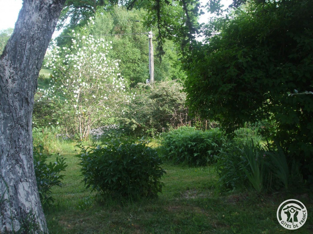 photo 34